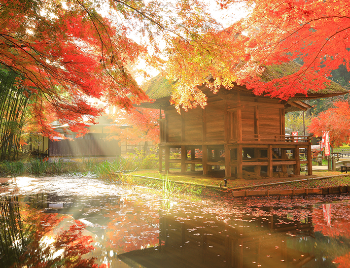 ギャラリー画像